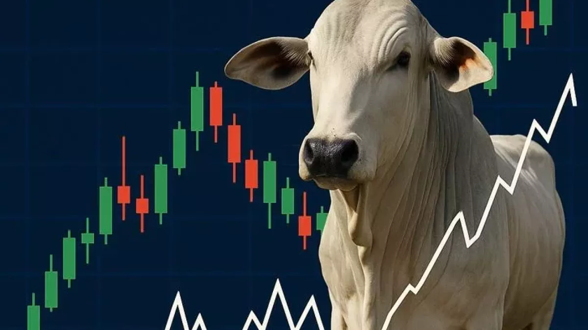 Boi gordo mantém firmeza e tarifa dos EUA não deve impactar exportações de carne brasileira