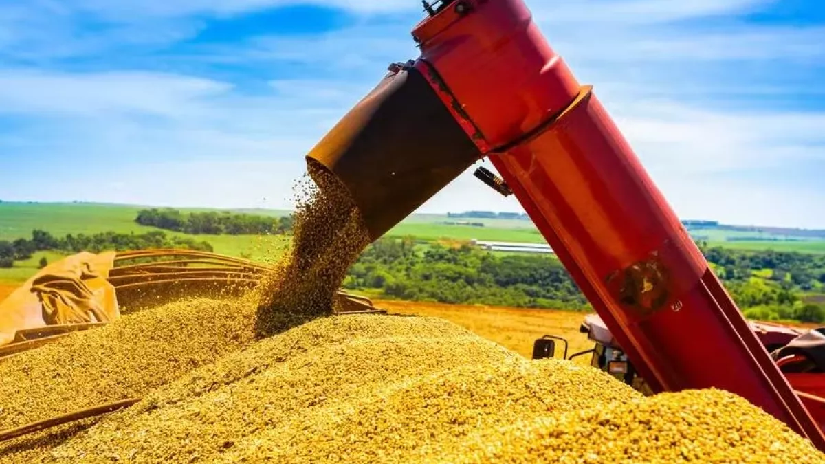 PIB do agro cresce 2% no primeiro trimestre, mas abaixo das projeções