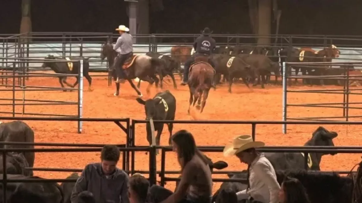 Expo Mangalarga e Mega Ranch movimentam Jaguariúna com mais de 150 animais