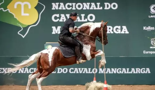 Tatuí Sedia a 48ª Exposição Nacional do Cavalo Mangalarga