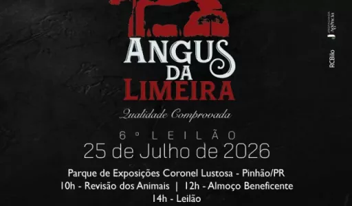 Genética e Solidariedade: 6º Leilão Angus da Limeira Consolida Tradição da Raça