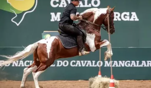 Jacareí recebe 11ª Exposição Regional do Cavalo Mangalarga