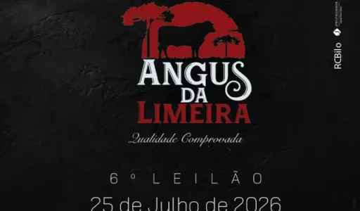 Angus da Limeira realiza grande leilão de genética no dia 25 de julho em Pinhão/PR