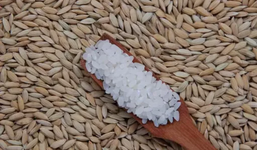 Leilões da Conab reduzem ritmo de negócios no mercado de arroz