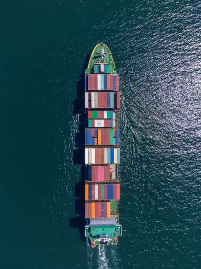 Tarifa dos EUA pode afetar exportações do Paraná e setor florestal acende alerta