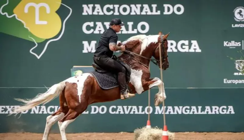 Tatuí Sedia a 48ª Exposição Nacional do Cavalo Mangalarga