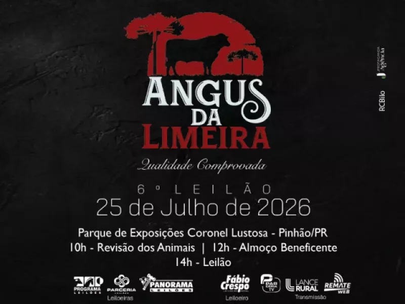 Genética e Solidariedade: 6º Leilão Angus da Limeira Consolida Tradição da Raça
