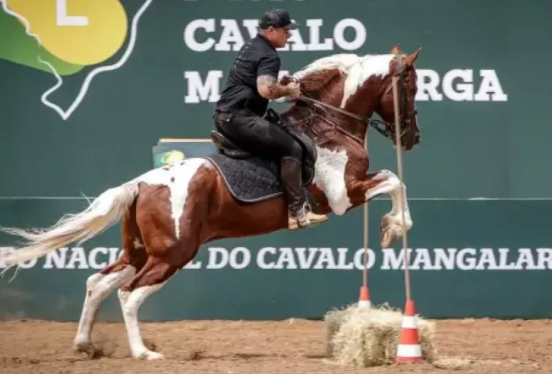 Jacareí recebe 11ª Exposição Regional do Cavalo Mangalarga