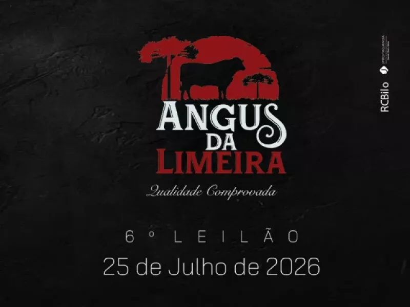 Angus da Limeira realiza grande leilão de genética no dia 25 de julho em Pinhão/PR