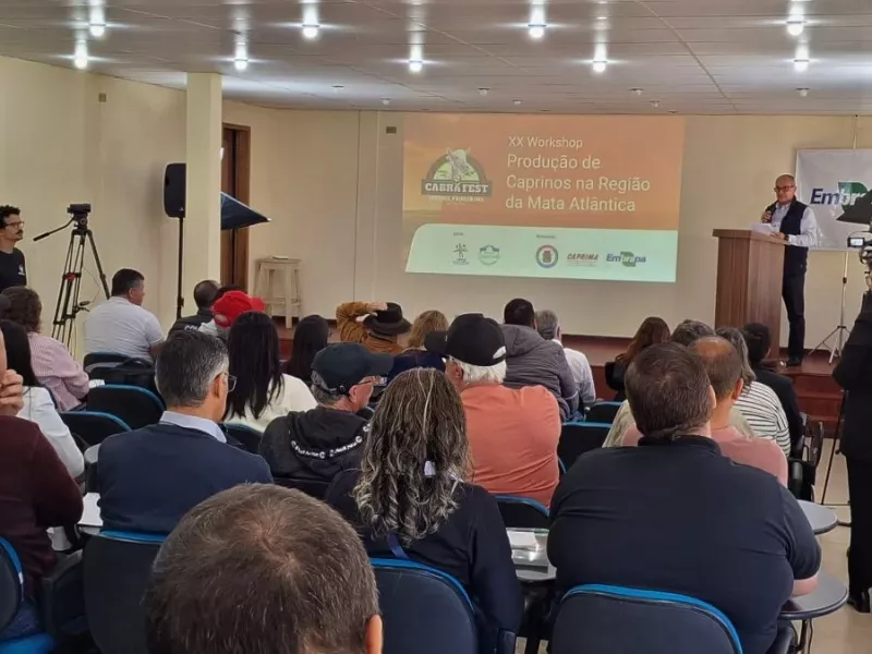 Workshop da Embrapa Debate Tecnologias e Qualidade do Leite de Cabra e Ovelha