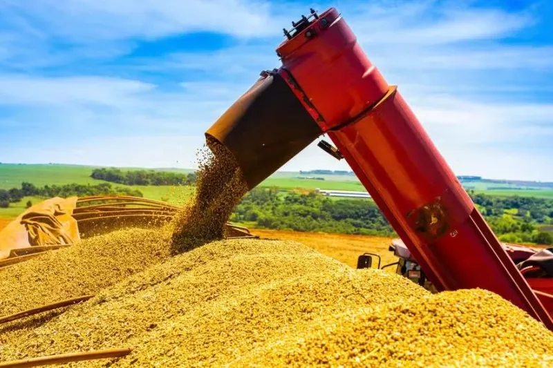 PIB do agro cresce 2% no primeiro trimestre, mas abaixo das projeções