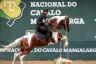 Tatuí Sedia a 48ª Exposição Nacional do Cavalo Mangalarga