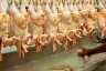 Exportações de carne de frango superam US$ 1 bilhão e batem recorde em maio